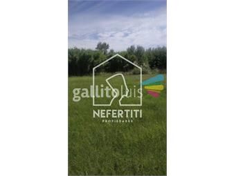 https://www.gallito.com.uy/chacra-de-3-hectareas-en-melilla-inmuebles-21699531