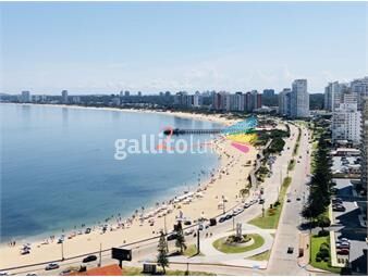 https://www.gallito.com.uy/apartamento-en-un-piso-13-vista-hacia-las-mejores-playas-de-inmuebles-17393714