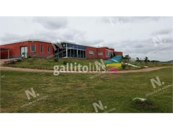 https://www.gallito.com.uy/chacra-en-venta-con-vistas-panoramicas-inmuebles-18692951