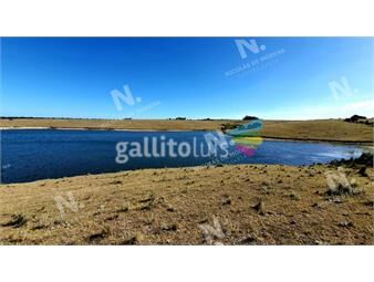 https://www.gallito.com.uy/gran-chacra-entre-jose-ignacio-y-garzon-inmuebles-18906911