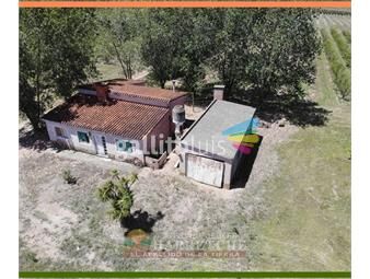https://www.gallito.com.uy/venta-50-has-juanico-casas-galpones-canelones-uruguay-inmuebles-19284853