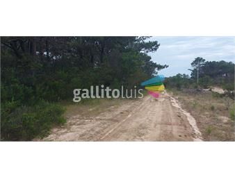 https://www.gallito.com.uy/terreno-en-venta-en-o-del-polonio-a-450-m-del-mar-inmuebles-21274493
