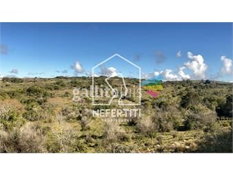 https://www.gallito.com.uy/campo-90-hectareas-ideal-para-barrio-privado-inmuebles-22016841