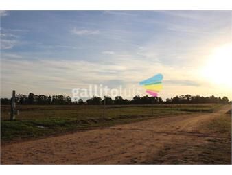 https://www.gallito.com.uy/terrenos-en-campo-alto-barrio-jardin-durazno-inmuebles-22305080