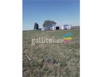 https://www.gallito.com.uy/muy-buen-campo-ganadero-en-salto-uruguay-inmuebles-22307320