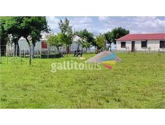 https://www.gallito.com.uy/campo-agricola-ganadero-en-durazno-con-costa-al-arroyo-c-inmuebles-22307443