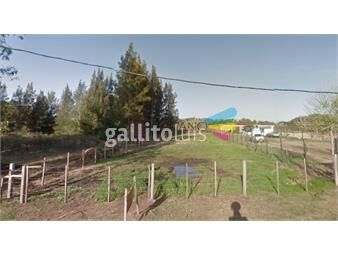 https://www.gallito.com.uy/terreno-en-venta-camino-eguzquiza-la-barra-punta-del-este-inmuebles-21765151