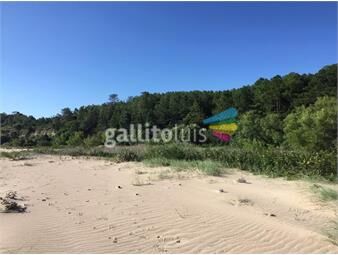 https://www.gallito.com.uy/chacra-paraje-arazati-inmuebles-22481366