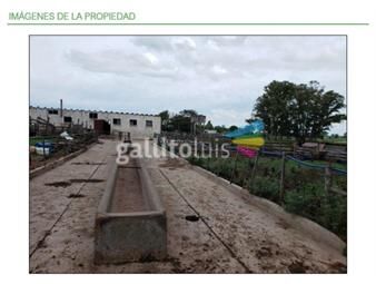 https://www.gallito.com.uy/venta-campo-ganadero-ctambo-128ha-en-19-de-abril-rocha-inmuebles-22307720