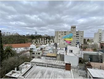 https://www.gallito.com.uy/venta-un-dormitorio-parque-rodo-inmuebles-20872628