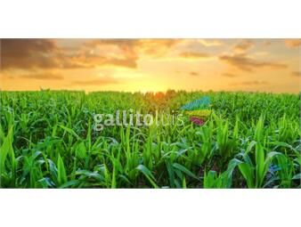 https://www.gallito.com.uy/104-has-agricolas-a-menos-de-30-minutos-de-punta-los-mejo-inmuebles-22538518
