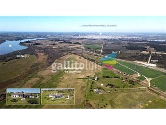 https://www.gallito.com.uy/campo-556ha-rio-negro-inmuebles-22538575