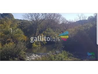 https://www.gallito.com.uy/6-has-con-casa-monte-nativo-vistas-panoramicas-y-arroyo-inmuebles-22628926