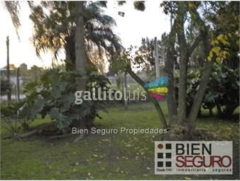 https://www.gallito.com.uy/ref-30207-peñarol-prox-cnel-raiz-terreno-inmuebles-22668153