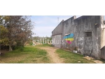 https://www.gallito.com.uy/proxima-a-camino-de-la-redencion-excelente-ubicacion-inmuebles-22699926