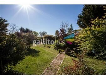 https://www.gallito.com.uy/campo-chacra-tambo-inmuebles-22690267