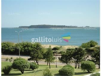 https://www.gallito.com.uy/apartamento-en-alquiler-de-temporada-playa-mansa-punta-del-inmuebles-22622966