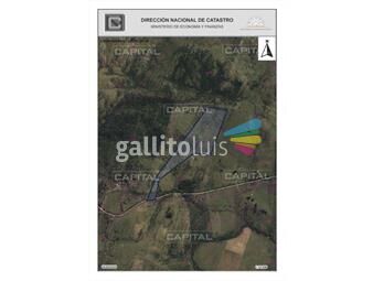 https://www.gallito.com.uy/campo-de-39-hectareas-en-venta-en-aigua-inmuebles-22344990