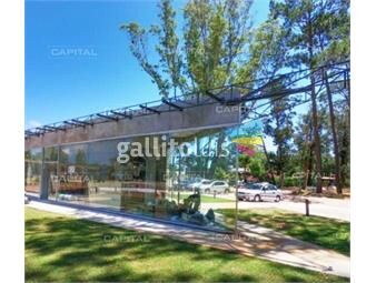 https://www.gallito.com.uy/moderno-local-en-venta-ubicado-en-punto-estrategico-en-sol-inmuebles-22345045