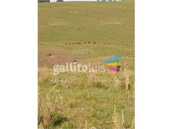 https://www.gallito.com.uy/muy-buen-campo-de-90-hectareas-en-lavalleja-inmuebles-22345438