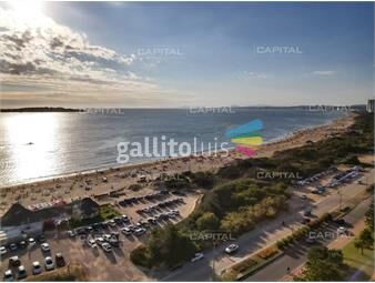 https://www.gallito.com.uy/venta-de-apartamento-tres-dormitorios-sobre-playa-mansa-en-inmuebles-22345677