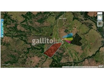 https://www.gallito.com.uy/campo-ganadero-213ha-tacuarembo-inmuebles-22538072