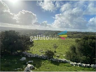 https://www.gallito.com.uy/venta-campo-sierra-del-carape-vistas-espectaculares-inmuebles-21602625