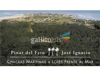 https://www.gallito.com.uy/barrio-privado-pinar-del-faro-inmuebles-22956330