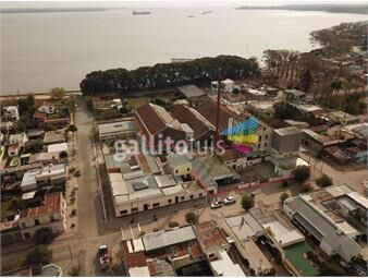 https://www.gallito.com.uy/1-nueva-palmira-calle-dr-cuneo-inmuebles-23023759