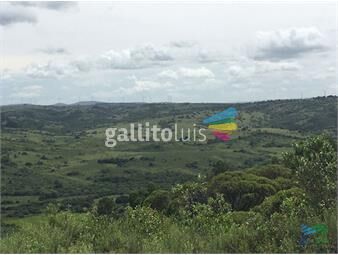 https://www.gallito.com.uy/chacras-con-vistas-increibles-monte-nativo-naturaleza-y-t-inmuebles-23023956