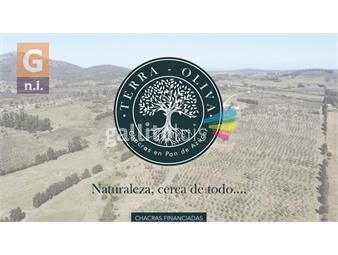 https://www.gallito.com.uy/terra-oliva-chacras-financiadas-ruta-9-ref-5596-inmuebles-23043325
