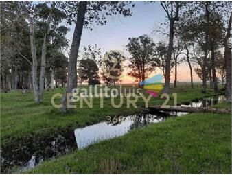 https://www.gallito.com.uy/oportunidadventa-de-chacra-5-hectareas-inmuebles-23057549