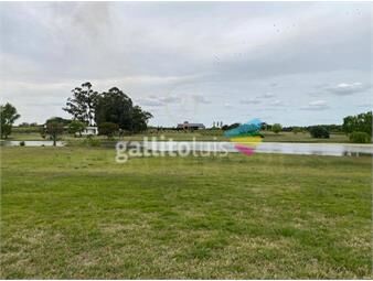 https://www.gallito.com.uy/hermoso-lote-en-la-concordia-colonia-estrella-inmuebles-22855527