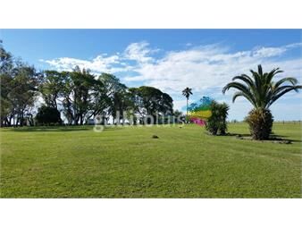 https://www.gallito.com.uy/campo-ganadero-invernador-en-artigas-uruguay-inmuebles-22306727