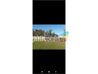 https://www.gallito.com.uy/campo-baltasar-brum-inmuebles-22307188