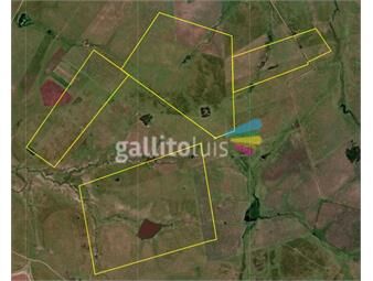 https://www.gallito.com.uy/campo-agricola-de-236-has-en-tacuarembo-ic-promedio-111-inmuebles-22307492