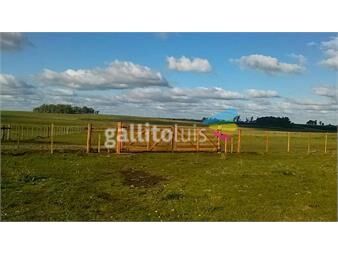 https://www.gallito.com.uy/290-has-de-campo-agricola-ganadero-en-paysandu-inmuebles-22307603