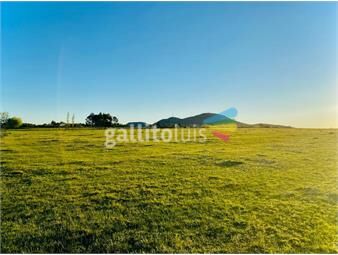 https://www.gallito.com.uy/chacra-suburbana-de-1-hectarea-en-minas-campos-uruguay-inmuebles-22306215