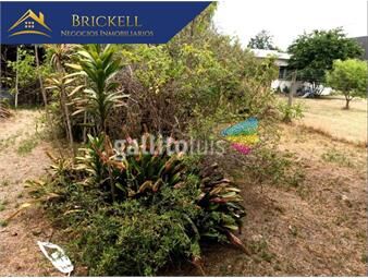 https://www.gallito.com.uy/casa-venta-el-pinar-inmuebles-23151934