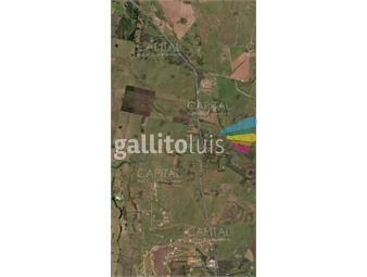 https://www.gallito.com.uy/terreno-sobre-ruta-104-inmuebles-23098121