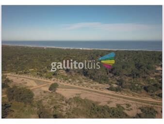 https://www.gallito.com.uy/venta-terrenos-nuevo-barrio-cerrado-ubicado-a-400-metros-de-inmuebles-23273175