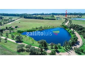 https://www.gallito.com.uy/terreno-5-has-720-mts-en-manantiales-barrio-laguna-estate-inmuebles-23303673
