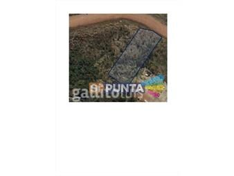 https://www.gallito.com.uy/venta-de-terreno-de-370-m2-en-barrio-de-constante-crecimien-inmuebles-21246837