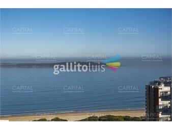 https://www.gallito.com.uy/espectacular-penthouse-a-estrenar-con-vista-al-mar-en-miami-inmuebles-23365942