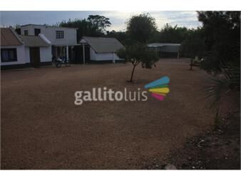 https://www.gallito.com.uy/terreno-de-mas-de-una-hectarea-con-casa-de-3-dormitorios-en-inmuebles-22304902