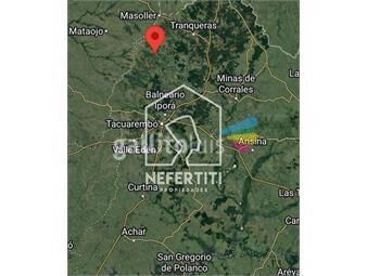 https://www.gallito.com.uy/1087-hectareas-en-3-padrones-120-hectareas-de-praderas-rec-inmuebles-22578979