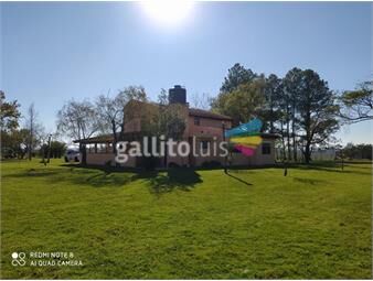 https://www.gallito.com.uy/venta-de-chacra-18ha-en-maldonado-inmuebles-23397367