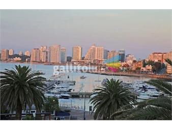 https://www.gallito.com.uy/apartamento-puerto-inmuebles-20593438
