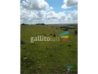 https://www.gallito.com.uy/linda-fraccion-de-campo-agricola-ganadero-177-has-castill-inmuebles-23468579