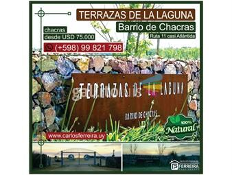 https://www.gallito.com.uy/vende-chacras-barrio-de-chacras-terrazas-de-la-laguna-inmuebles-23273317